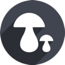 Mogu Paid VPN, 蘑菇付费翻墙加速器