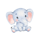 Daxiang Paid VPN, 庞大的动物付费翻墙加速器